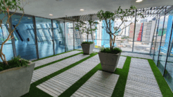 Artificial Grass Indoor