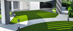 Artificial Grass