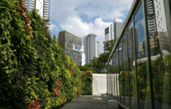 Green Wall