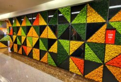 Moss Wall