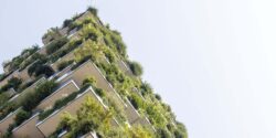 Green Roof