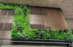 Green Wall